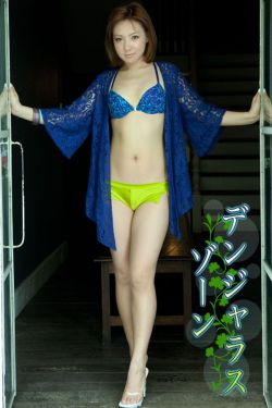 甄嬛传29
